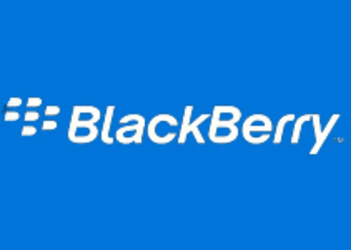 The Blackberry logo on a blue background represents our ability to solve antique and newer blackberry fanatic issues.